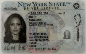 New York (Premium) Driver License - New York (Premium) Scannable IDS